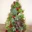 succulent christmas tree cactus jungle