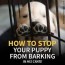 how to stop a puppy from barking in his