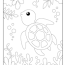 cute turtle coloring page for kids