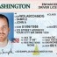 wa state licensing dol official site