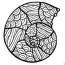 seashell coloring pages 1 1 1 1