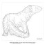 marsh mongoose facts coloring page