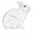 english spot rabbit coloring pages