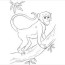 free 8 monkey coloring pages in ai