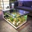 best fish tank coffee table in 2021