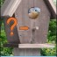 birdhouse perch do birdhouses need