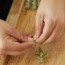 how to grind weed without a grinder 10