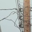 unpaid bills from electric companies