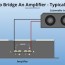 how to bridge an amp info guide and