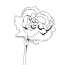 carnation coloring pages hellokids com
