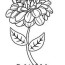 flowers coloring pages sheets