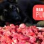 raw feeding puppies how to guide