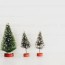 ethical and sustainable christmas trees