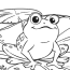 free printable frog coloring pages for kids