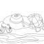 beach coloring pages 100 pictures