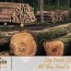 how to build a log cabin from