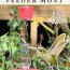 make an ant moat for hummingbird feeders
