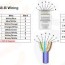 cat5e cable wiring comms infozone