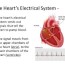 aed the heart s electrical system