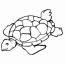 free pictures of sea turtles to color