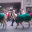 dallas christmas parade where llamas