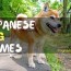 cute japanese dog names for 2022