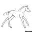 baby horse coloring page pony