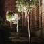 diy uplighting garden lighting