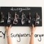 diy chalkboard sunglasses organizer