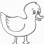 free mallard duck coloring pages