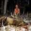 colorado elk hunts diy and guided elk