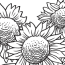 printable wildflower coloring pages