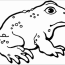 free printable toad coloring pages for
