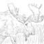 alaska moose coloring page free