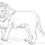 standing lion coloring page free