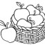 coloring page of apple png images