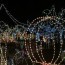 lights up neighborhood with christmas cheer