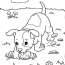 free realistic puppy coloring pages