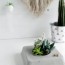 diy concrete planter box for succulent