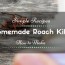 how to make homemade roach killer