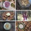 diy freeze dried backpacking meals from