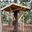 build a tree house 5 tips for building