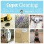12 diy carpet cleaning tips tricks