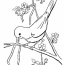 flowers flowers coloring pages