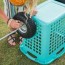 build your own rolling beach basket