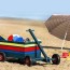 make your own beach cart habitat 35