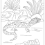 free lizards coloring pages to download