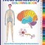 neuroanatomy coloring book human brain