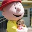 make your own charlie brown costume