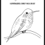 cute hummingbird coloring page with
